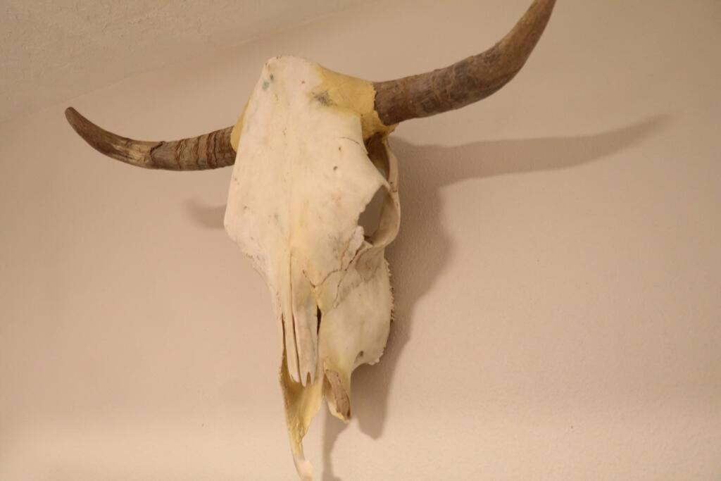 Cowboy Den-Hot Tub-Game Room-Pet Friendly-No Pet Fees! Albuquerque Eksteriør bilde
